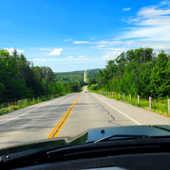 Meet your Posher, Daniel - Picture 2 of 2